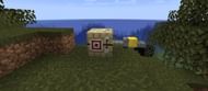 (Image via Minecraft)